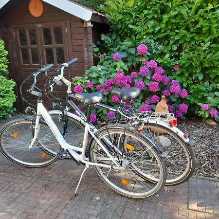 Holiday home Am Sielblick In *
